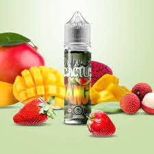 Cactus Jango BY VANGO