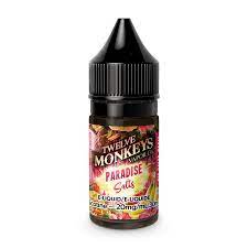 PARADISE BY TWELVE MONKEYS