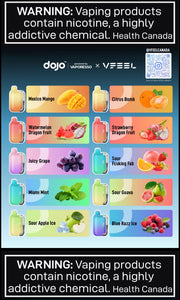 Vfeel Dojo Pyrex -2+20ml