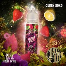 Queen Soko By Twelve Monkeys