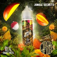 Jungle Secrets By Twelve Monkeys